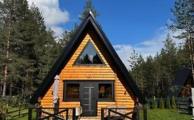 Pine Forest-Black
